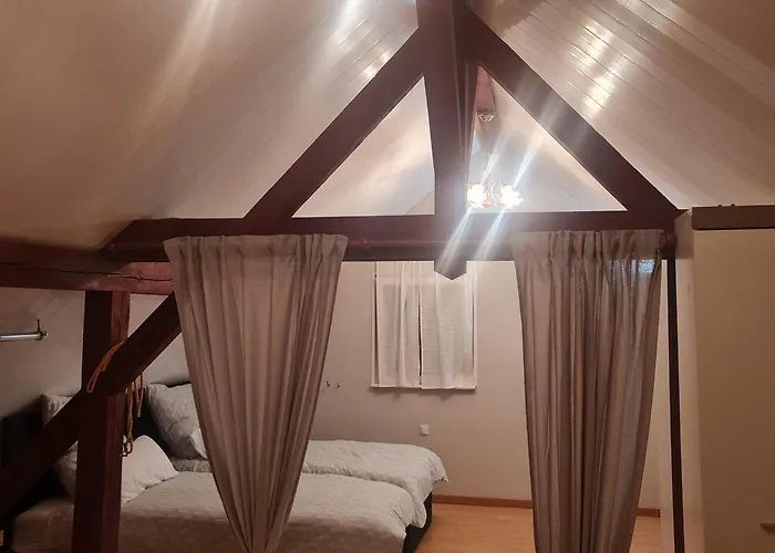 Comfortable Apartment